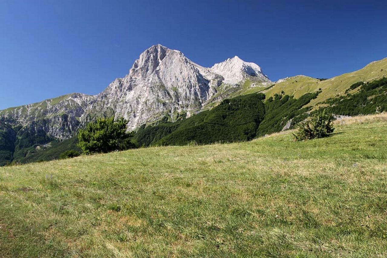 Complesso Turistico Aurora - Camere B&B Poggio Picenze Kültér fotó